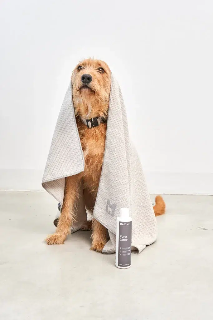 Serviette pour chien et chat - PANNO