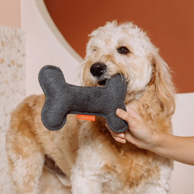 jouet alpine os chien design