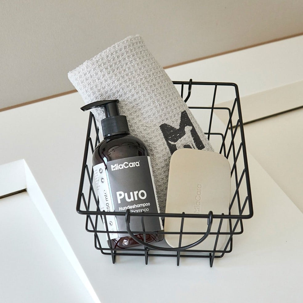 pelo brosse chien design