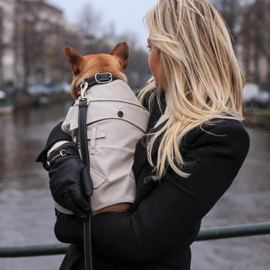 sherlock trench coat veste manteau design hiver vetement chien