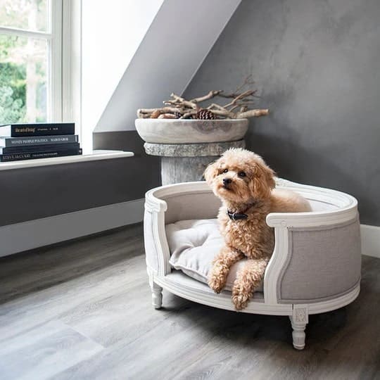 george canapé luxe pour chien et chat design