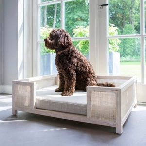 Canapé design en lin pour chien et chat – CHRISTOPHER
