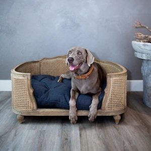 Canapé de luxe pour chien et chat – ARTHUR