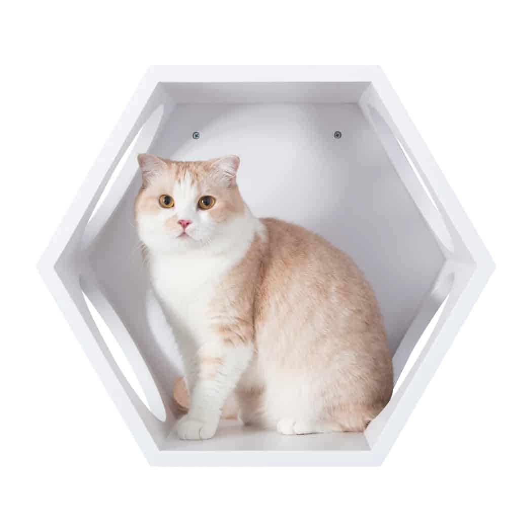 Arbre à chat mural design busycat - blanc Arbre à chat mural design busycat - blanc