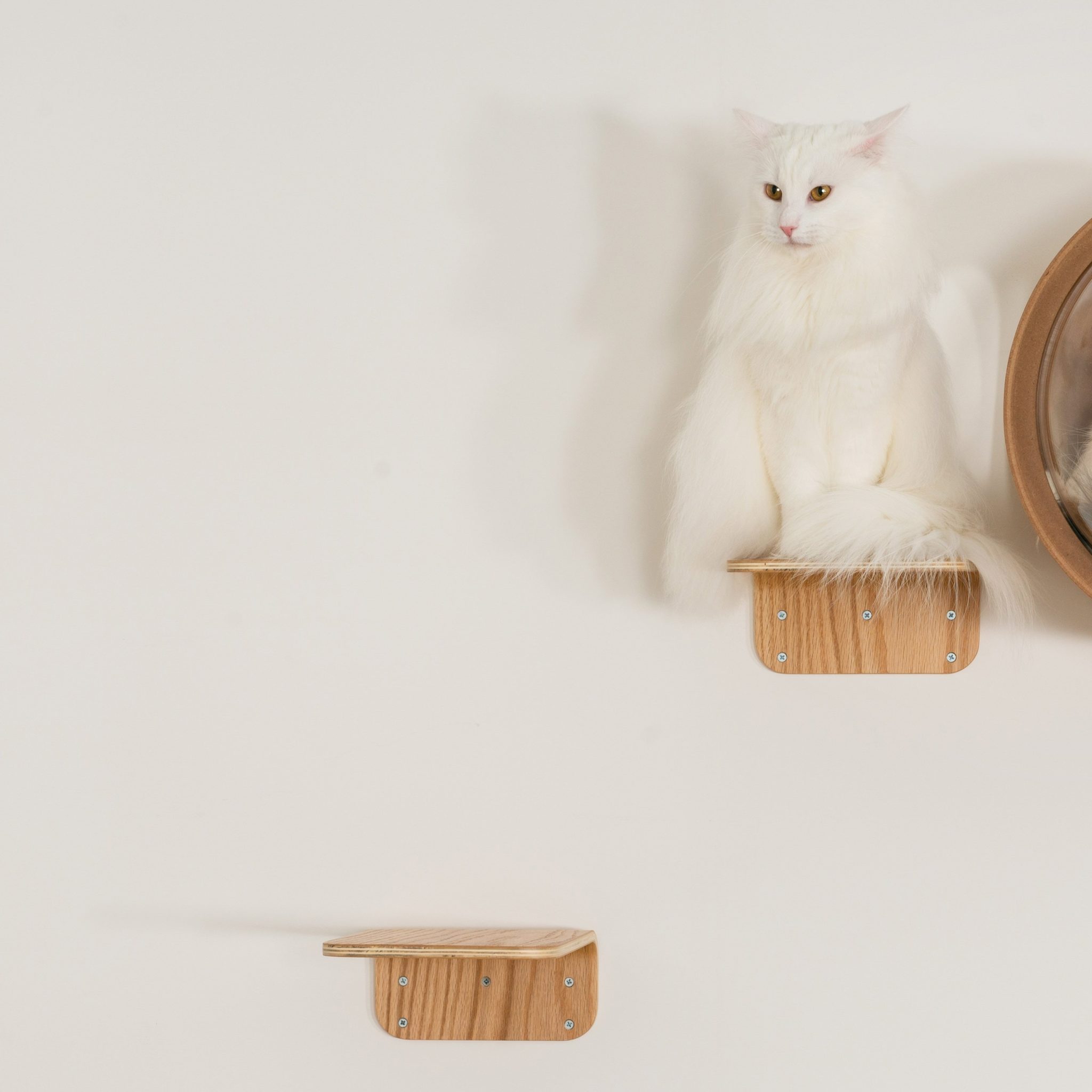 lack etagere murale arbre a chat mural design bois