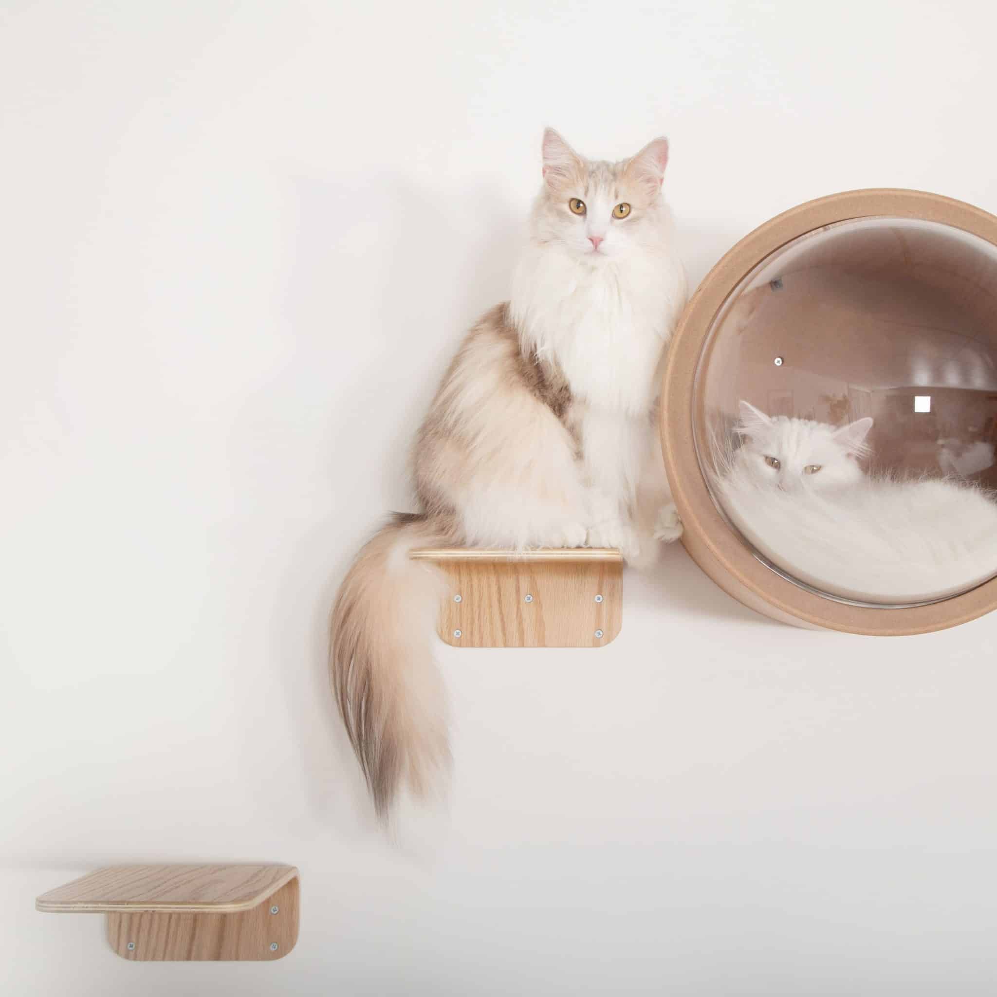 lack etagere murale arbre a chat mural design bois