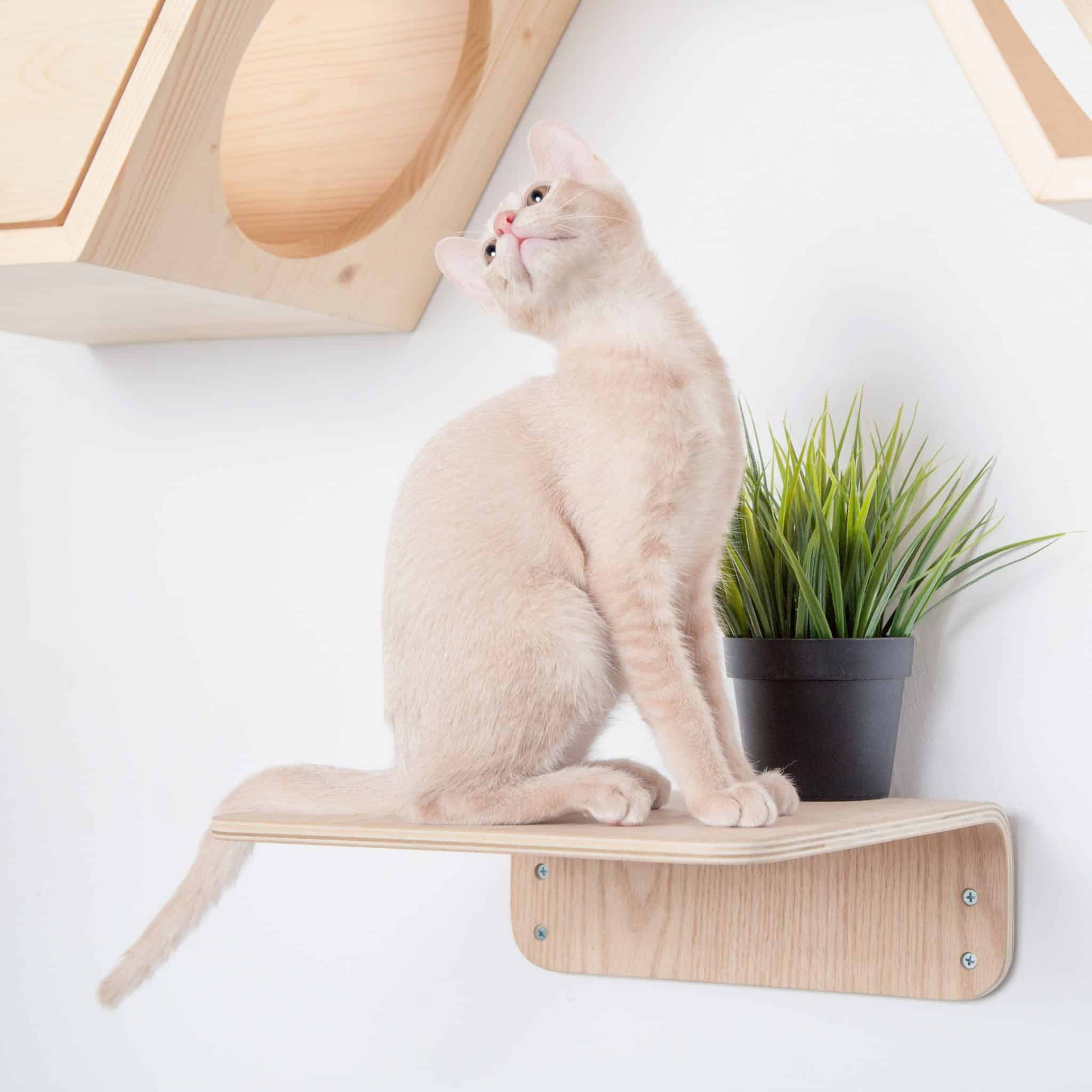 lack etagere murale arbre a chat mural design bois