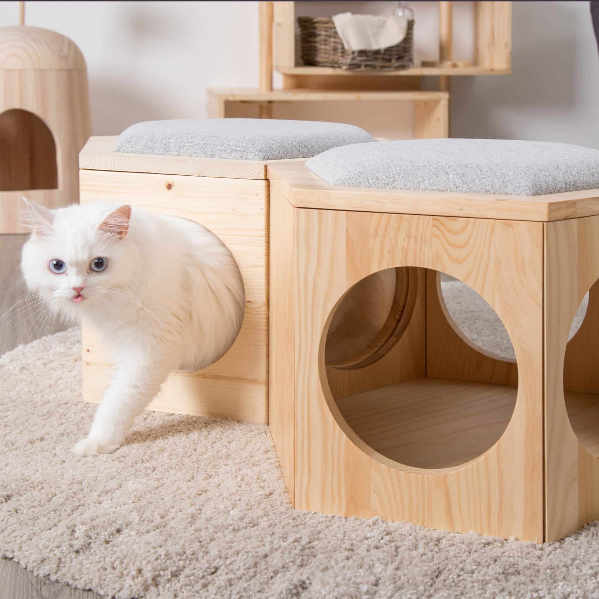 busycat chair plate coussin recouvrement design chat feuteuil busycat chair plate coussin recouvrement design chat feuteuil