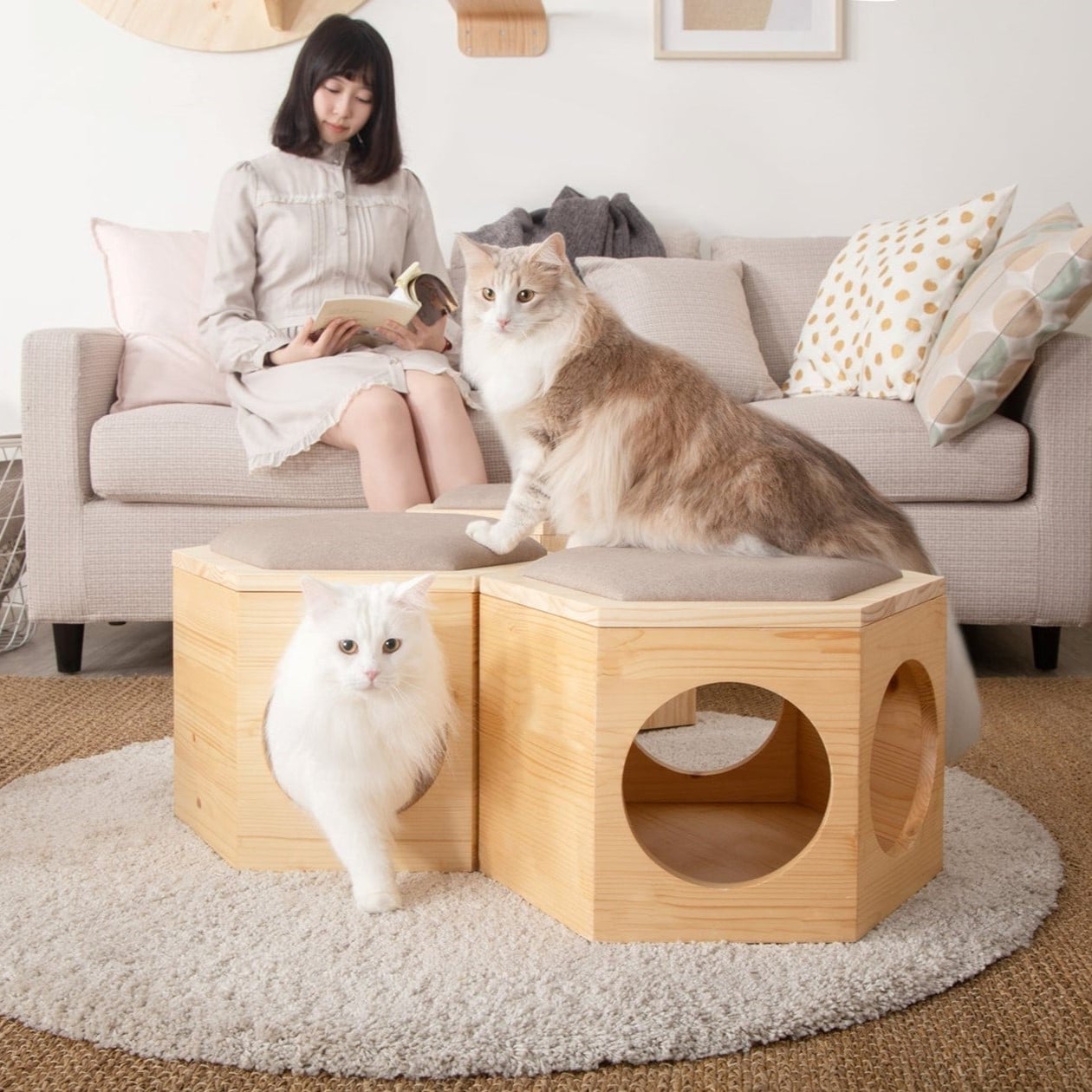 busycat chair plate coussin recouvrement design chat feuteuil busycat chair plate coussin recouvrement design chat feuteuil