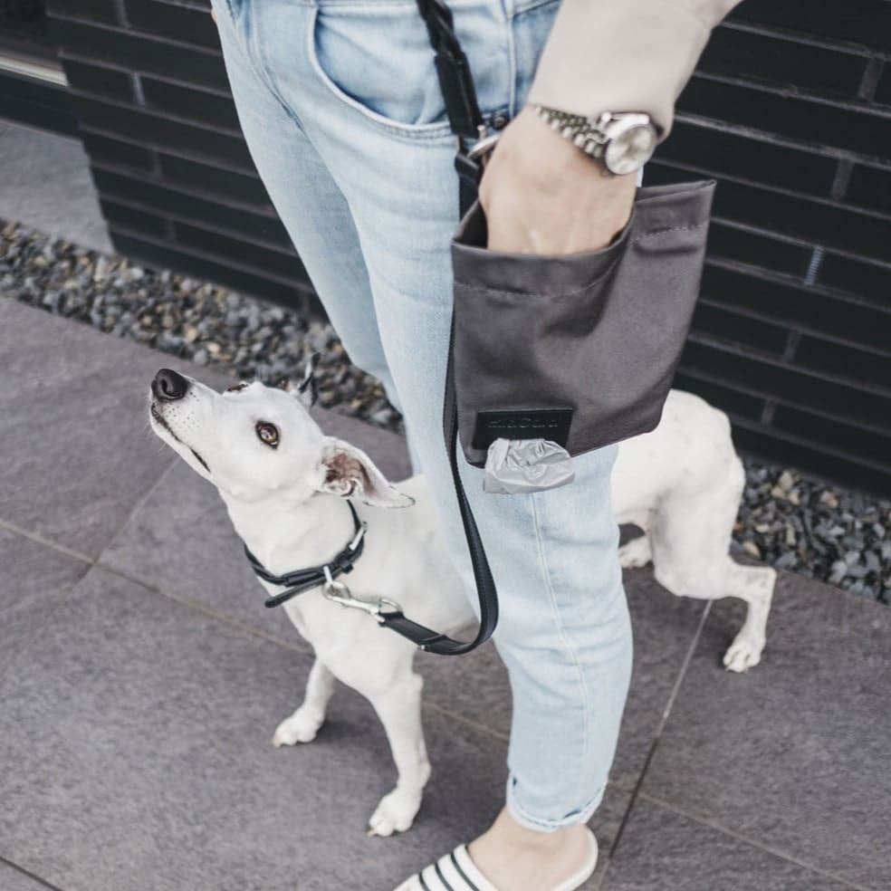 LUPO SNACK BAG MIACARA CHIEN