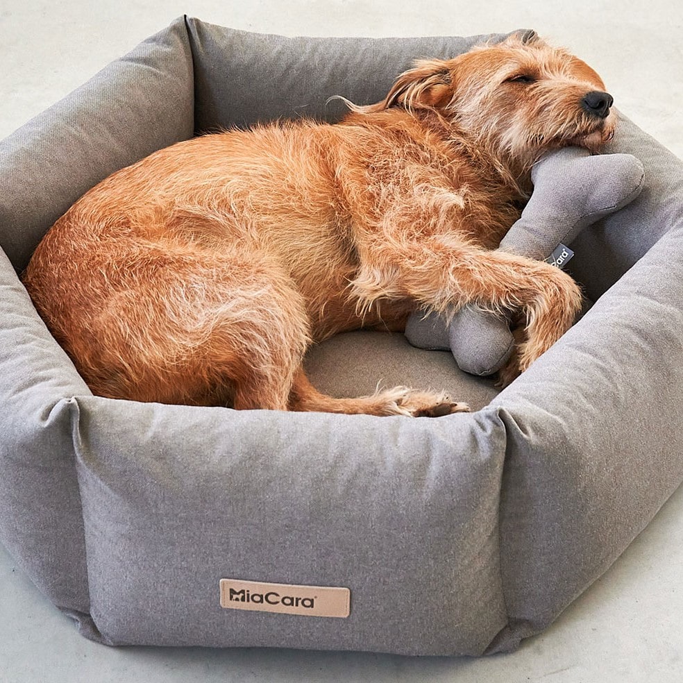 panier hexagone felice chien miacara panier hexagone felice chien miacara