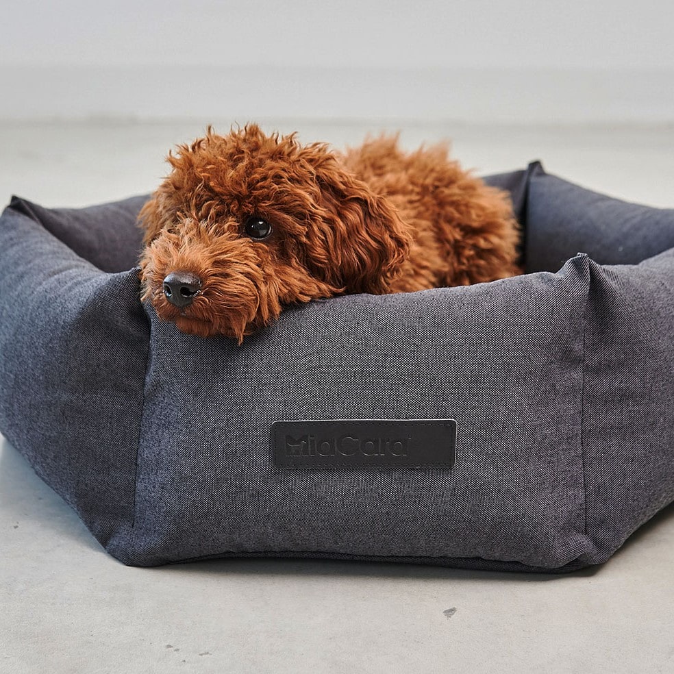 panier hexagone felice chien miacara panier hexagone felice chien miacara