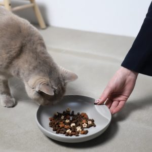 Assiette design pour chat – Hoopo