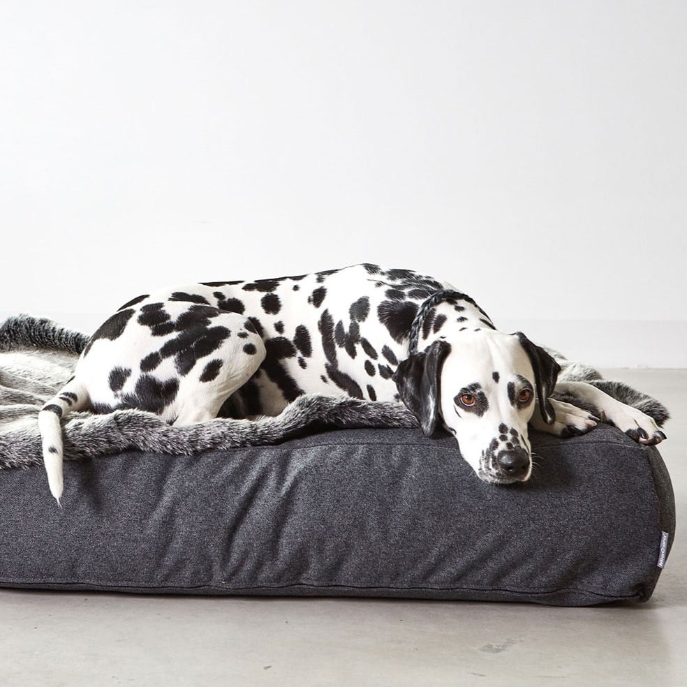 mc_c01-016-03-ml_sleep_stella_lounge_cushion_mottled-anthracite_penny_838-min coussin panier stella design chien chat miacara