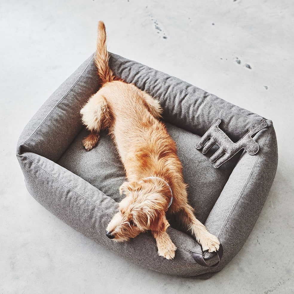 mc_c02-012-01-m_sleep_stella_box_bed_mottled-mocca_hugo_082-min coussin panier stella design chien chat miacara