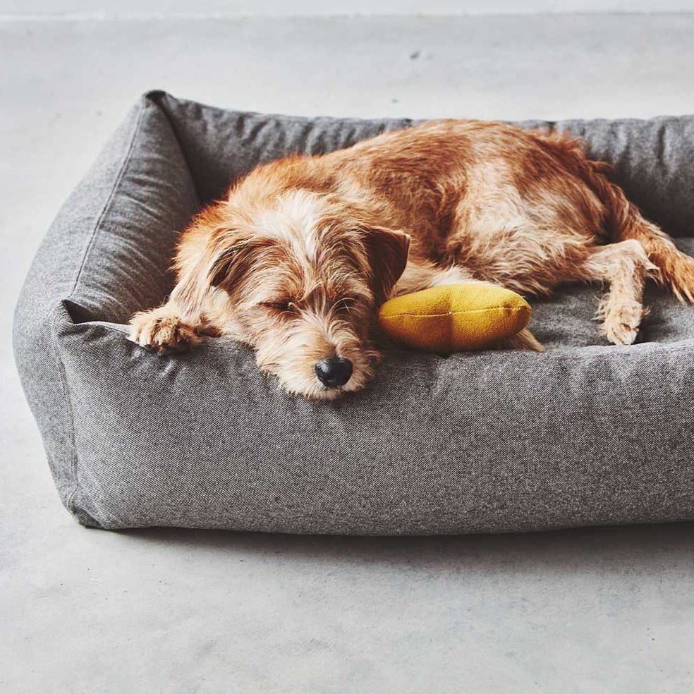 mc_c02-012-01-m_sleep_stella_box_bed_mottled-mocca_hugo_101 (1)-min coussin panier stella design chien chat miacara