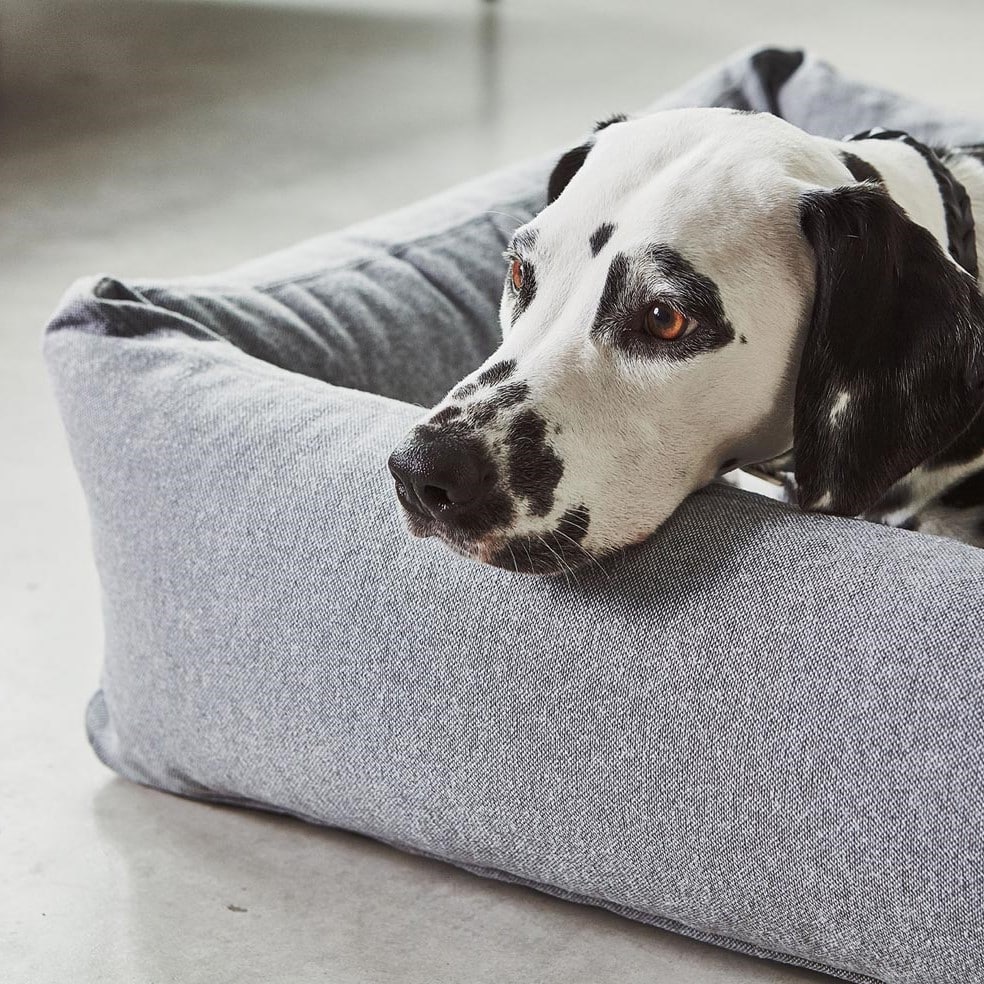 mc_c02-012-02-m_sleep_stella_box_bed_mottled-slate_penny_868 (1)-min coussin panier stella design chien chat miacara
