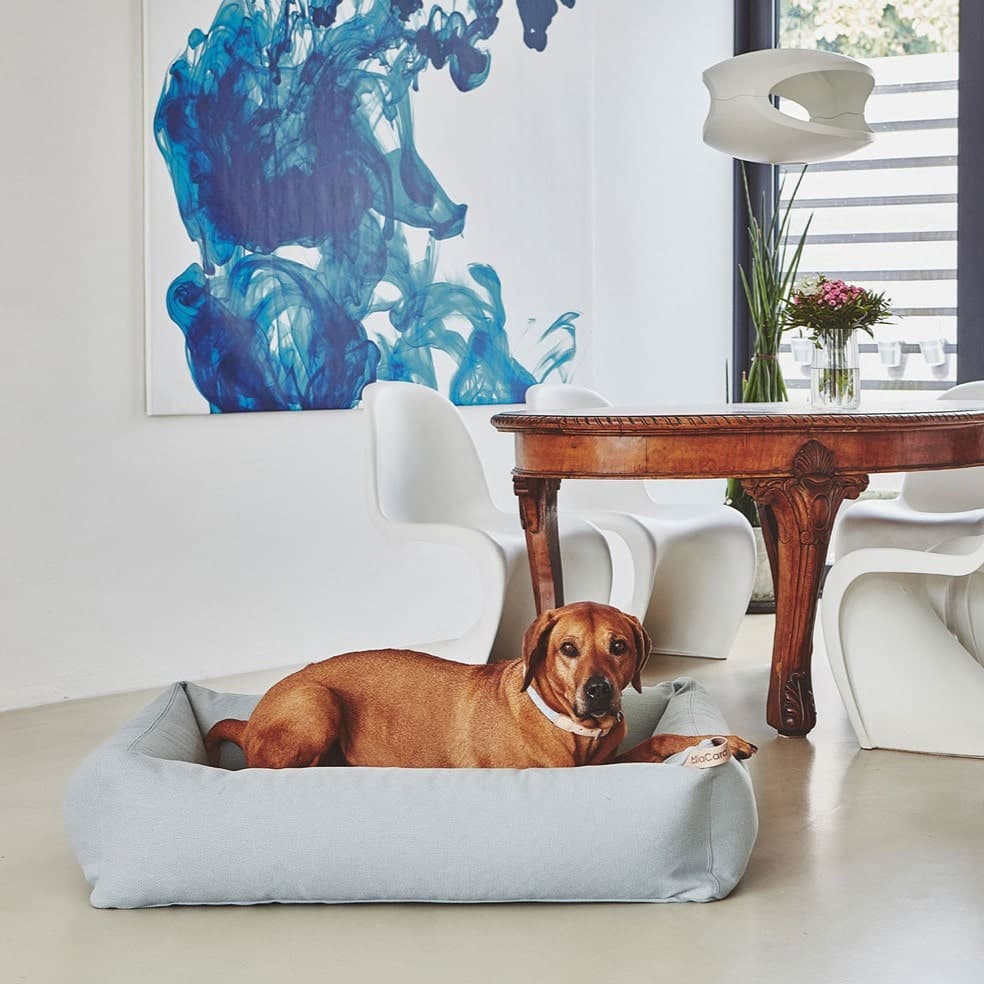 mc_c02-013-01-l_sleep_sonno_box_bed_glacier_jack_1486-min Panier design pour chien - SONNO