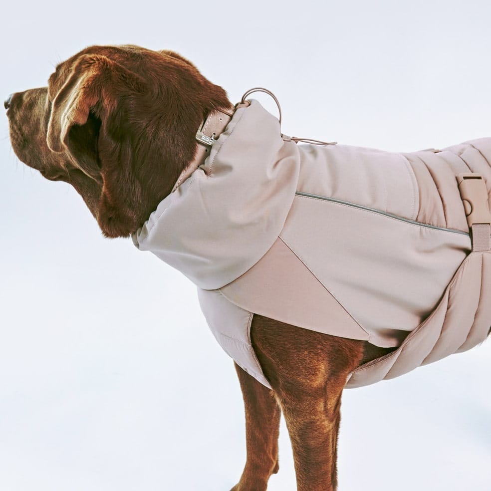 stefano manteau d'hiver miacara chien stefano manteau d'hiver miacara chien