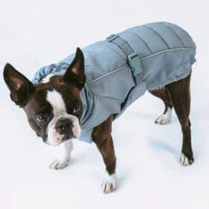 Manteau matelassé d’hiver pour chien – STEFANO