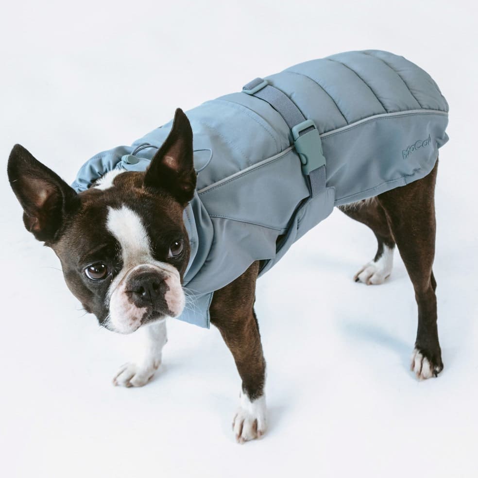 stefano manteau d'hiver miacara chien