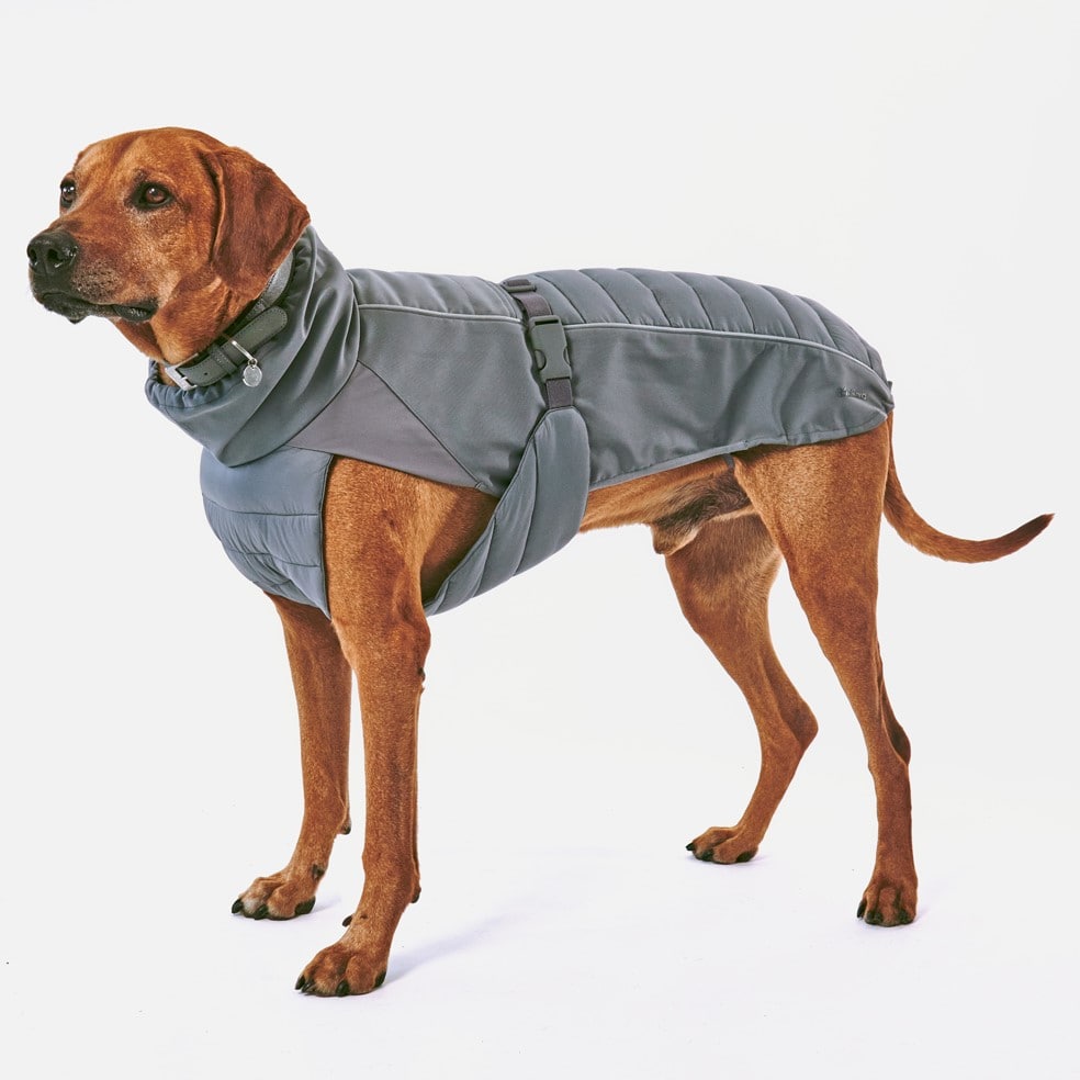 stefano manteau d'hiver miacara chien stefano manteau d'hiver miacara chien