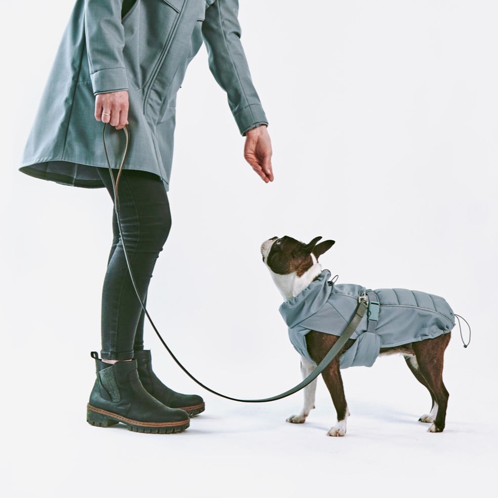 stefano manteau d'hiver miacara chien stefano manteau d'hiver miacara chien