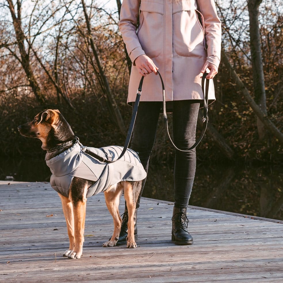 stefano manteau d'hiver miacara chien stefano manteau d'hiver miacara chien