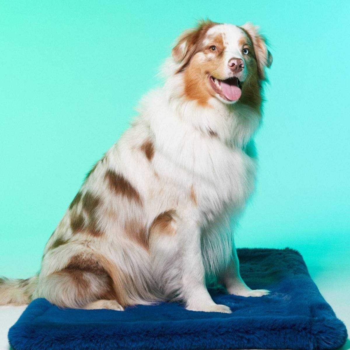 tapis rouge paris fourrure synthetique vegan tapis rouge paris fourrure synthetique vegan