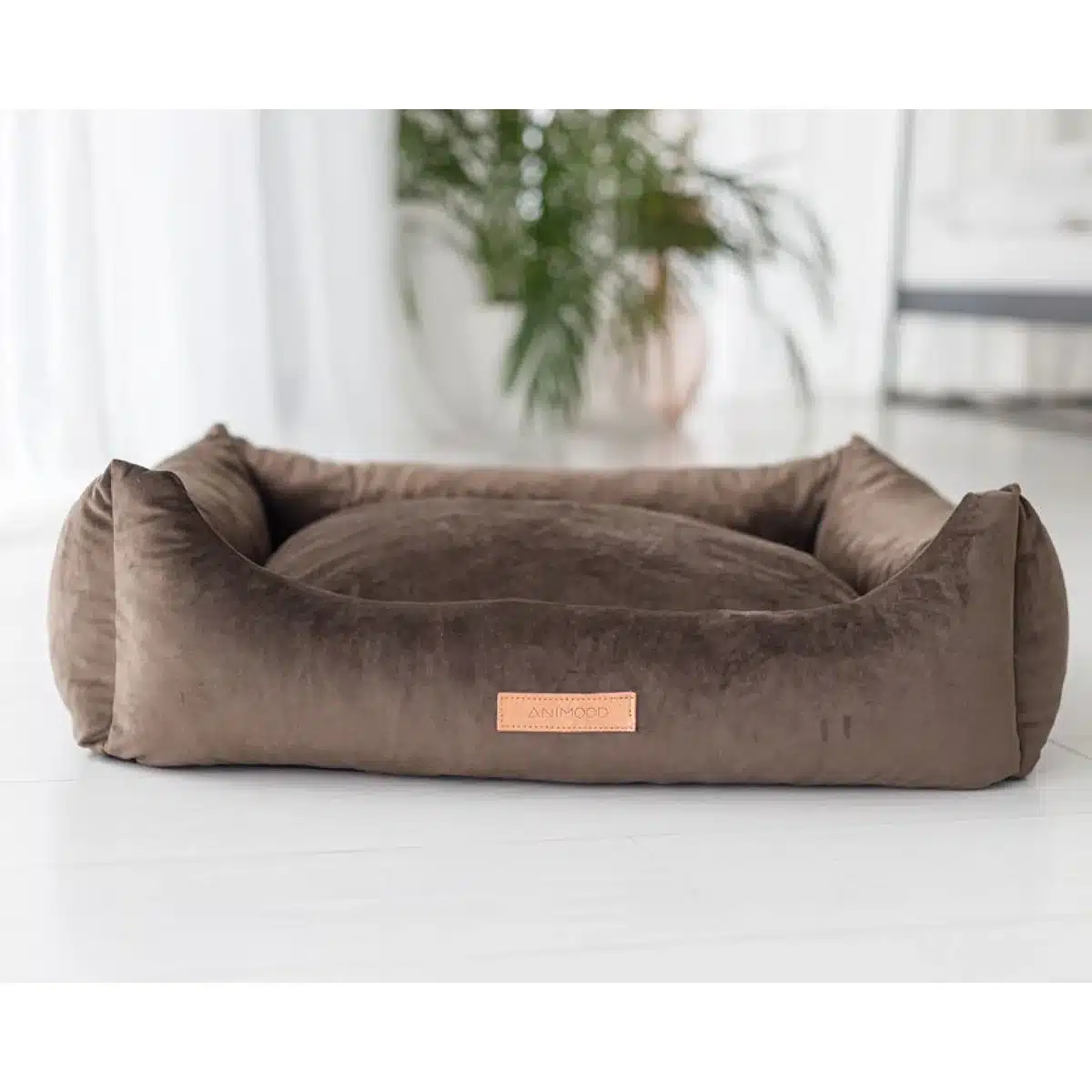 alex lit velours animood