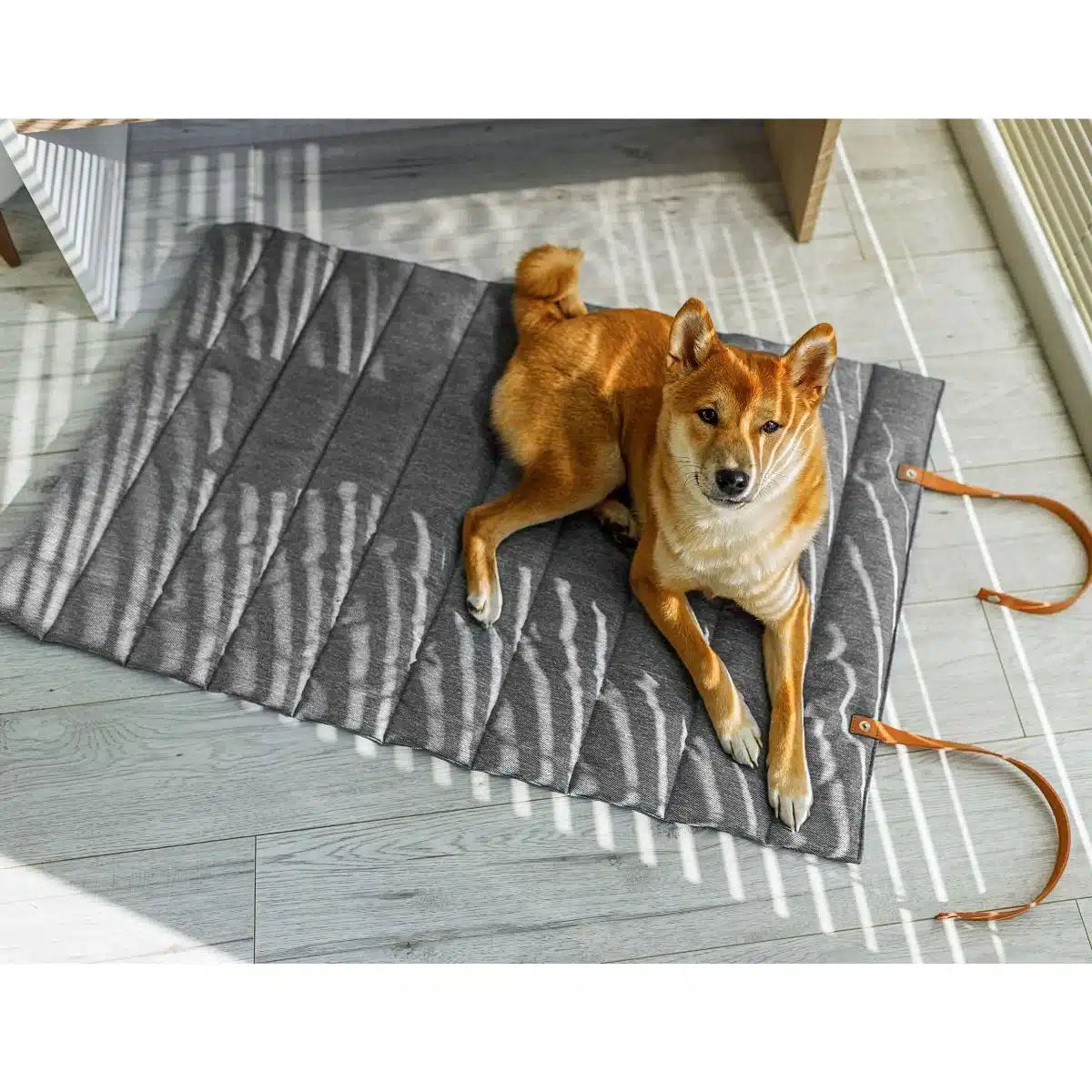 tapis chien voyage design luna animood