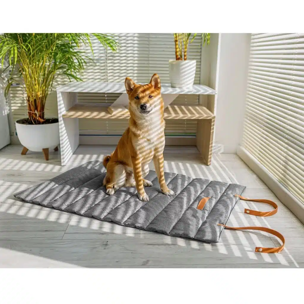 tapis chien voyage design luna animood
