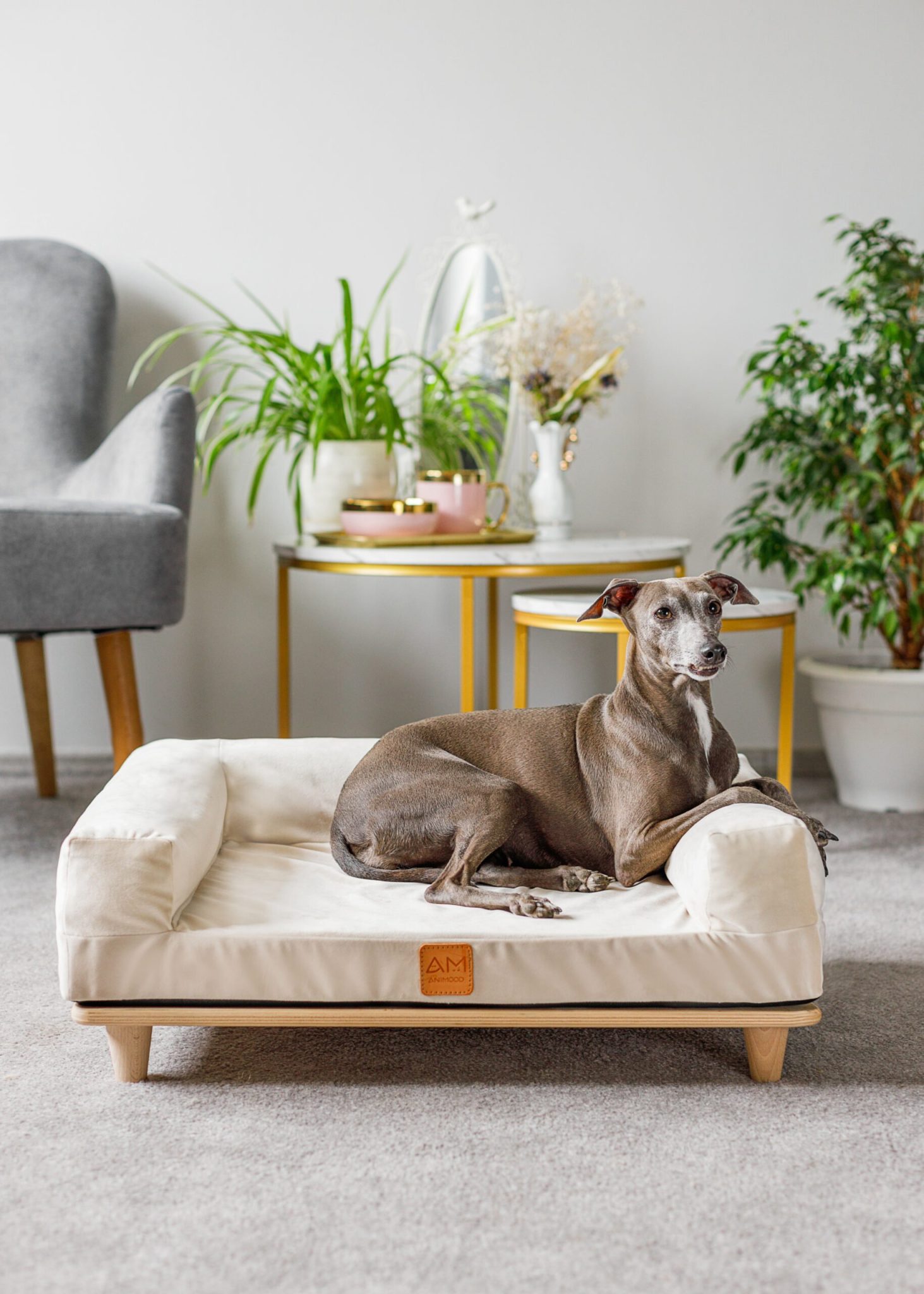 canapé en velours sonya design canape-en-velours-sonya-design