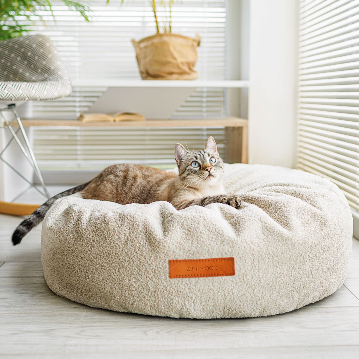 coco animood coussin rond pour chat et chien design tissu bouclé
