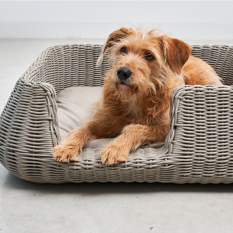 panier corde design chien interieur exterieur mio panier corde design chien interieur exterieur mio