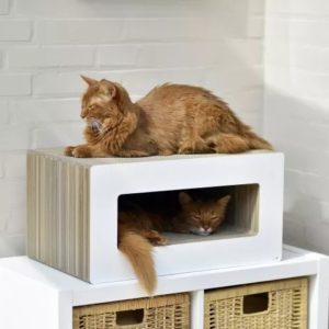Griffoir design en carton pour chat – LOOP
