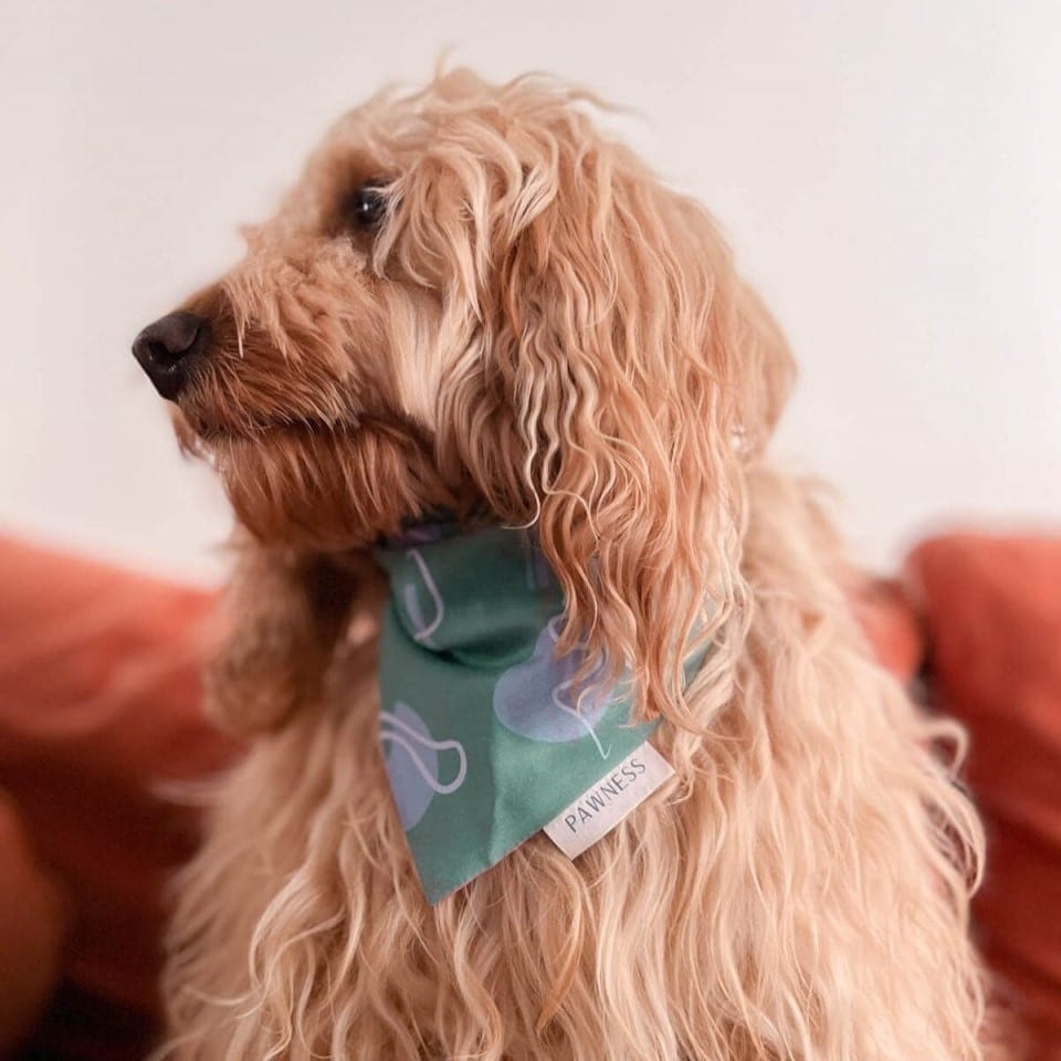 Bandana personnalisable design pour chien TAIL WAGGER