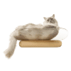 Etagère transparente design pour chat oblong myzoo