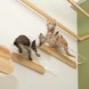 Etagère transparente design pour chat oblong myzoo