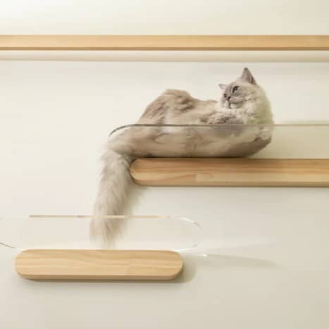 Etagère transparente design pour chat oblong myzoo