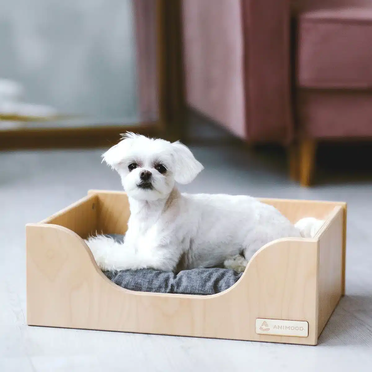 LIT-en-bois-pour-chien-design-marti-5 (1)