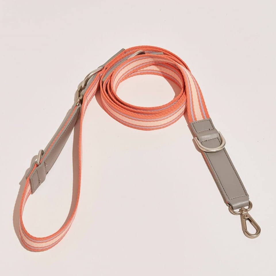 Laisse pour chien TRIX design (3)-min Laisse pour chien en cuir végétalien TRIX design