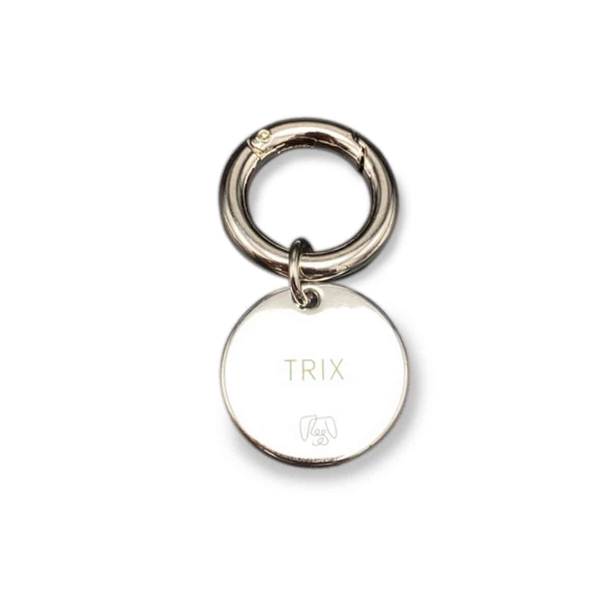 Médaillon pour chien personnalisable