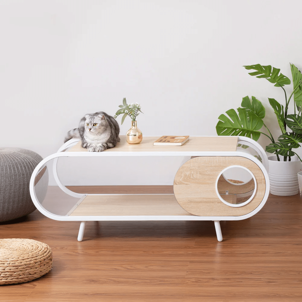 Table basse design pour chat cosmos myzoo