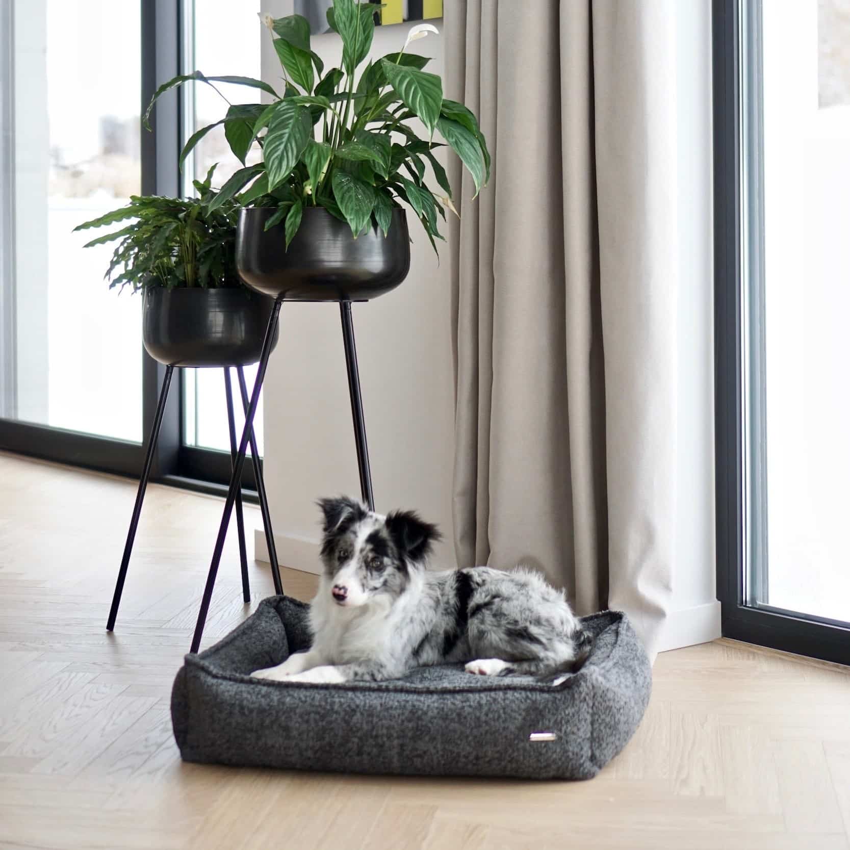 buklaa panier chien design (2) buklaa panier chien design