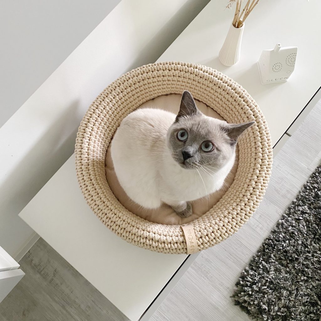 coco panier design pour chien et chat labbvenn