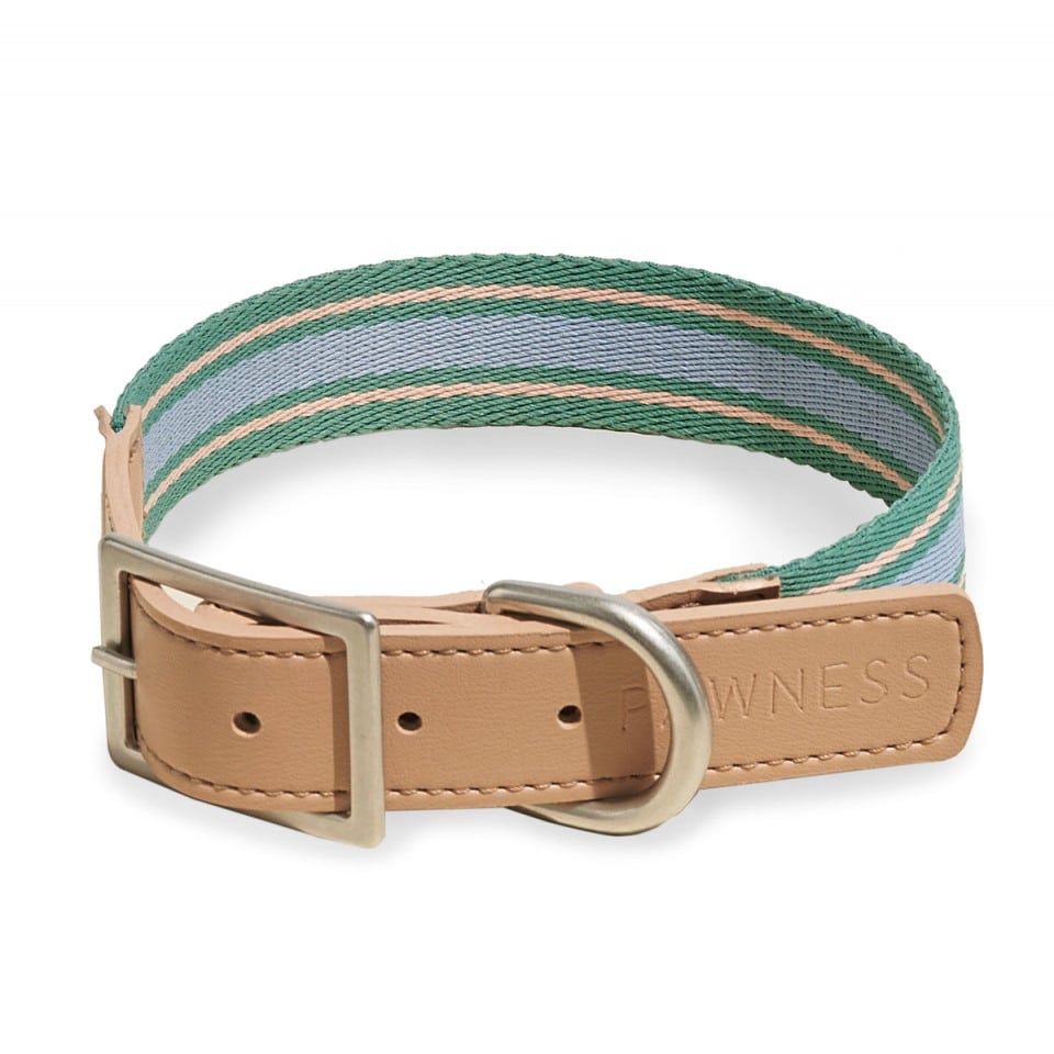 Collier pour chien en cuir végétalien TRIX design