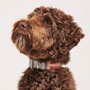 Collier design en cuir végétalien – TRIX