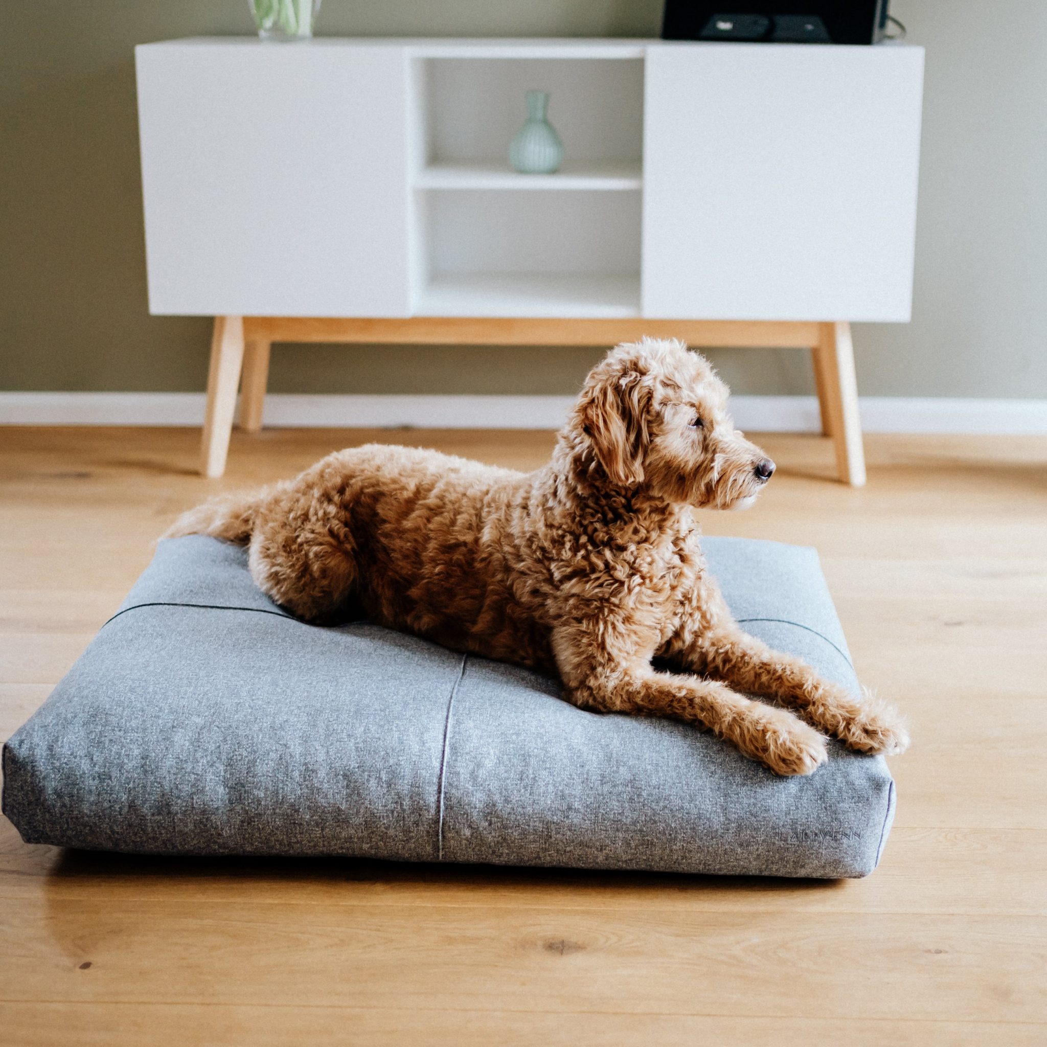 finno coussin élégant pour chien