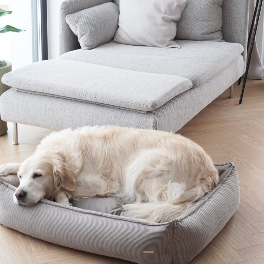strippo labbvenn panier lit design pour chien en velours cotele